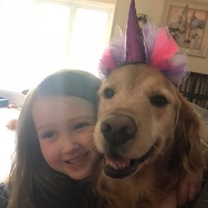 Meet your Posher, Dora